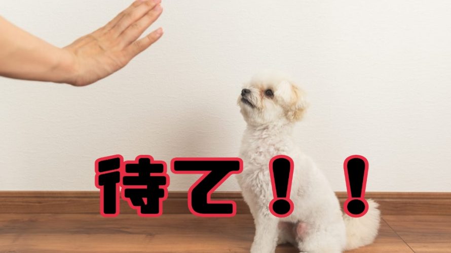 待て!ができない人は復縁できない